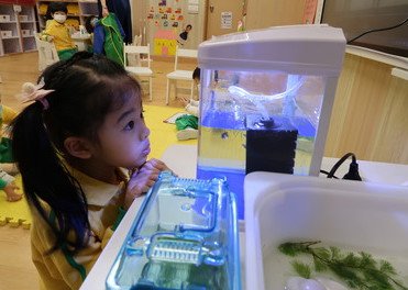 幼兒學習成果分享