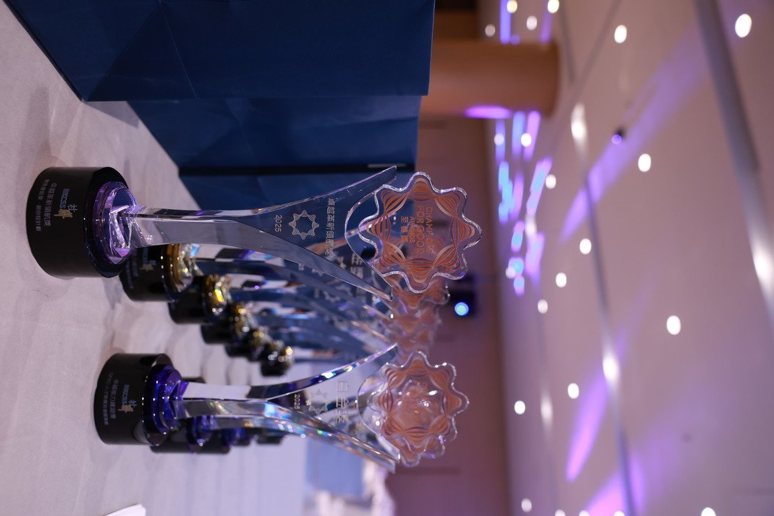 「協康會賽馬會吾讀吾識讀寫支援計劃」榮獲由香港社會服務聯會主辦首屆「至善獎」的 「卓越兒童及青少年服務奬」金獎圖片2